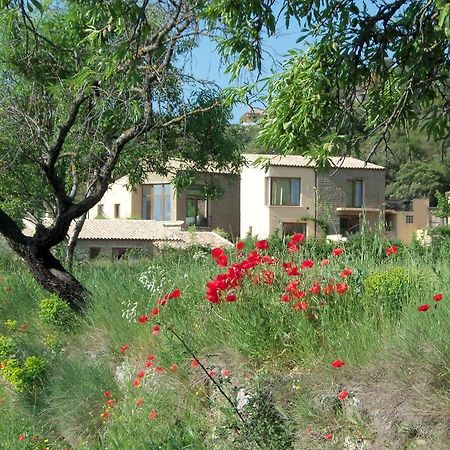 Alen D'Aragon Guest House Santa Eulalia de Gallego Ngoại thất bức ảnh